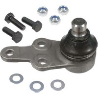 Delphi Ball Joint - Front | TC1016 | GSF Car Parts