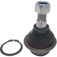 Delphi Ford Transit Ball Joint - Front | TC1150 | GSF Car Parts