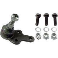 Delphi Ford Focus Ball Joint - Front | TC1971 | GSF Car Parts