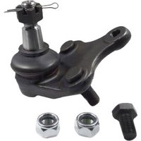 Delphi Toyota C-Hr Ball Joint - Front | TC1994 | GSF Car Parts
