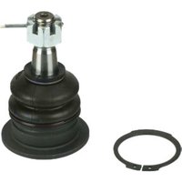 Delphi Ball Joint - Front | TC2606 | GSF Car Parts