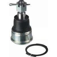 Delphi Honda Cr-V Ball Joint - Front | TC2717 | GSF Car Parts