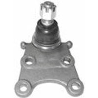 Delphi Vauxhall And Opel Frontera Ball Joint - Front | TC691 | GSF Car Parts