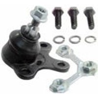 Delphi Seat Arosa Ball Joint - Front | TC753 | GSF Car Parts