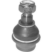 Delphi Mercedes-Benz Sprinter Ball Joint - Front | TC888 | GSF Car Parts