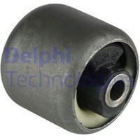 Delphi Ford Fiesta Hub Carrier Bush - Rear | TD892W | GSF Car Parts