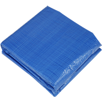 SEALEY Dellonda Swimming Pool Top Cover With Rope Ties For Dl18 | DL39 | GSF Car Parts