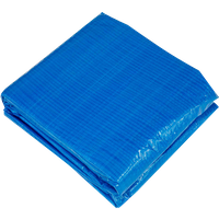 SEALEY Dellonda Swimming Pool Ground Sheet For Dl19 And Similar Sized Pools | DL45 | GSF Car Parts