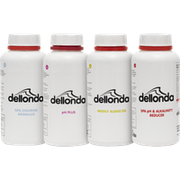 SEALEY Dellonda Swimming Pool Starter Kit - Chlorine, Ph Increaser, Ph Reducer, Algaecide And Test Strips | DL63 | GSF Car Parts