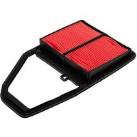 DRIVEPLUS Honda Stream Air Filter | A10.0455 | GSF Car Parts