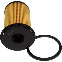 DRIVEPLUS Ford Focus C-Max Fuel Filter - Insert | F13.0066 | GSF Car Parts