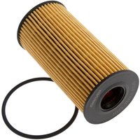 DRIVEPLUS Nissan Qashqai Oil Filter - Insert | L11.0092 | GSF Car Parts