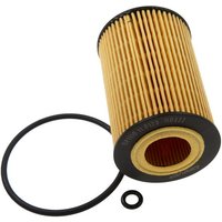 DRIVEPLUS Skoda Superb Oil Filter - Insert | L11.0173 | GSF Car Parts