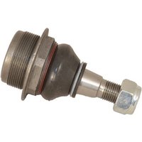 DRIVETEC Nissan Interstar Ball Joint - Front | BLJ0060R | GSF Car Parts