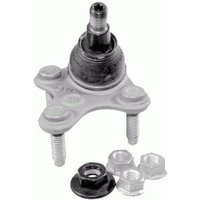 DRIVETEC Skoda Superb Ball Joint - Front - Right Hand | BLJ0164R | GSF Car Parts