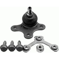 DRIVETEC Seat Arosa Ball Joint - Front | BLJ0166R | GSF Car Parts