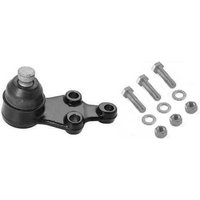 DRIVETEC Hyundai H-1 Ball Joint - Front | BLJ0181C | GSF Car Parts