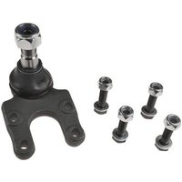 DRIVETEC Ford Maverick Ball Joint - Front | BLJ0191C | GSF Car Parts