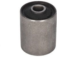 DRIVETEC Mounting, Leaf Spring - Rear Left Hand | BSH0263C | GSF Car Parts