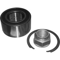 DRIVETEC Fiat Doblo Cargo Wheel Bearing - Front | DWB1422 | GSF Car Parts