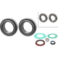 Fag Ford Transit Wheel Bearing - Rear Right Hand | 713679110 | GSF Car Parts