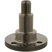Axle Beam Kingpin - Rear Lh/rh FEBI Fits: VOLKSWAGEN E-UP