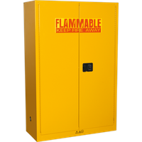 SEALEY Flammables Storage Cabinet 1095 X 460 X 1655mm | FSC10 | GSF Car Parts