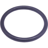 Thermostat Housing O Ring Peug Fast