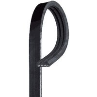 Gates Ford Sierra Auxillary Drive Poly V Belt | 3PK815 | GSF Car Parts