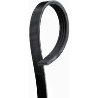 Gates Land Rover Discovery Auxillary Drive Poly V Belt | 4PK1260 | GSF Car Parts