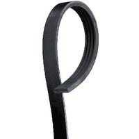 Gates Nissan Almera Auxillary Drive Poly V Belt | 4PK913 | GSF Car Parts