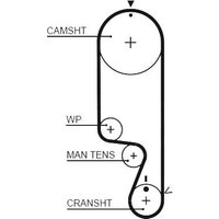 Gates Chevrolet Aveo/kalos Cam / Timing Belt | 5535XS | GSF Car Parts