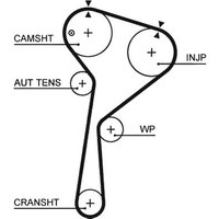 Gates Dacia Duster Cam / Timing Belt | 5578XS | GSF Car Parts
