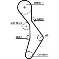 Gates Volkswagen Eos Cam / Timing Belt | 5604XS | GSF Car Parts