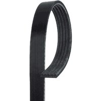Gates Daewoo Lanos Auxillary Drive Poly V Belt | 5PK870 | GSF Car Parts