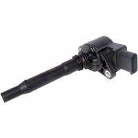 Delphi Mercedes-Benz C-Class Ignition Coil | GN10232-12B1 | GSF Car Parts