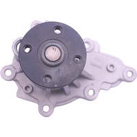Graf Water Pump GRAF