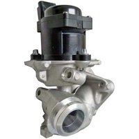 Hella Egr Valve | 6NU010171-091 | GSF Car Parts