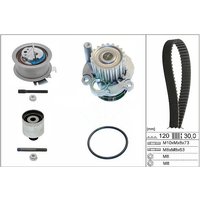 Ina Seat Alhambra Cam / Timing Belt Kit & Water Pump | 530020132 | GSF Car Parts