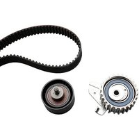Ina Fiat Barchetta Cam / Timing Belt Kit | 530022510 | GSF Car Parts
