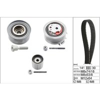 Ina Seat Altea Cam / Timing Belt Kit | 530046310 | GSF Car Parts