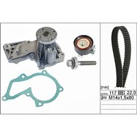 Ina Ford Tourneo Connect Cam / Timing Belt Kit & Water Pump | 530060530 | GSF Car Parts