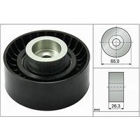 Ina Fiat Ducato Ribbed Auxillary Drive Belt Guide Pulley | 532047010 | GSF Car Parts