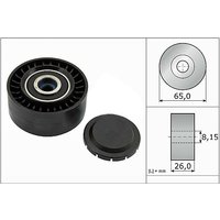 Ina Seat Exeo Ribbed Auxillary Drive Belt Guide Pulley | 532056410 | GSF Car Parts