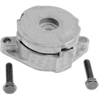 Ina Seat Alhambra Ribbed Auxillary Drive Belt Tensioner | 533008630 | GSF Car Parts