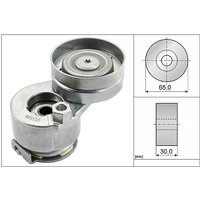 Ina Renault Grand Scenic Ribbed Auxillary Drive Belt Tensioner | 534002710 | GSF Car Parts