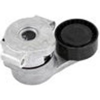 Ina Ford Transit Tourneo Ribbed Auxillary Drive Belt Tensioner | 534030810 | GSF Car Parts