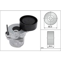 Ina Jeep Compass Ribbed Auxillary Drive Belt Tensioner | 534033610 | GSF Car Parts