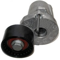 Ina BMW 5 Series Gran Turismo Ribbed Auxillary Drive Belt Tensioner | 534040210 | GSF Car Parts