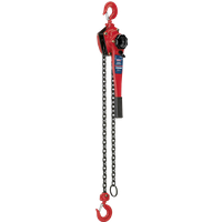 SEALEY Lever Hoist Steel 1000Kg | LH1000 | GSF Car Parts